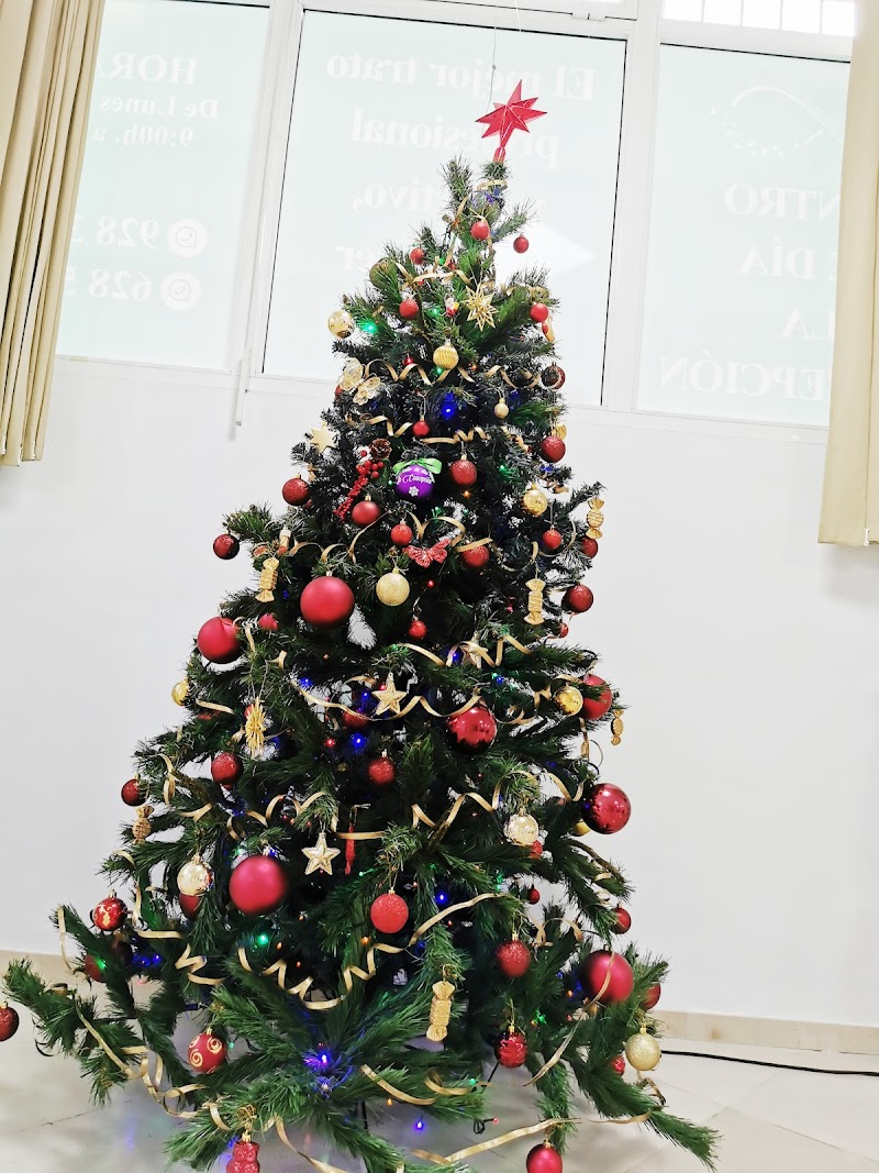 Imagen de Centro de Día la Concepción