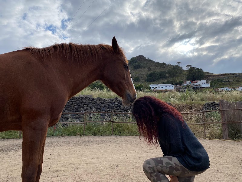 Imagen de Finca Ecuestre Essential