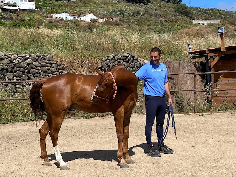 Imagen de Finca Ecuestre Essential