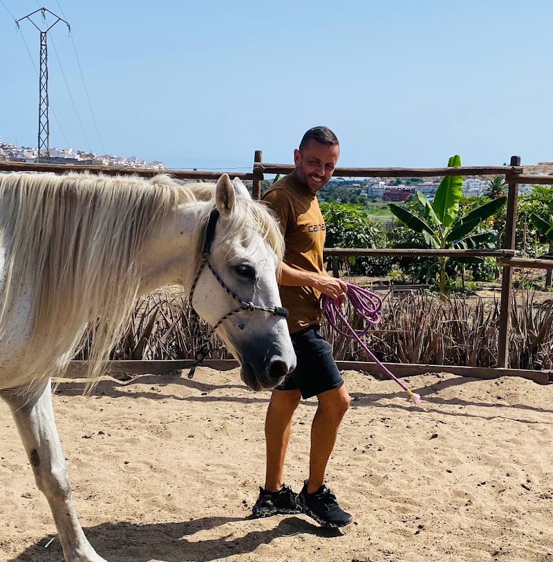 Imagen de Finca Ecuestre Essential