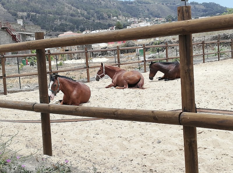 Imagen de Finca Ecuestre Essential