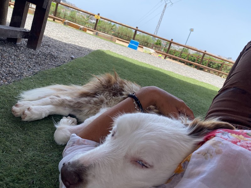 Imagen de Finca Ecuestre Essential