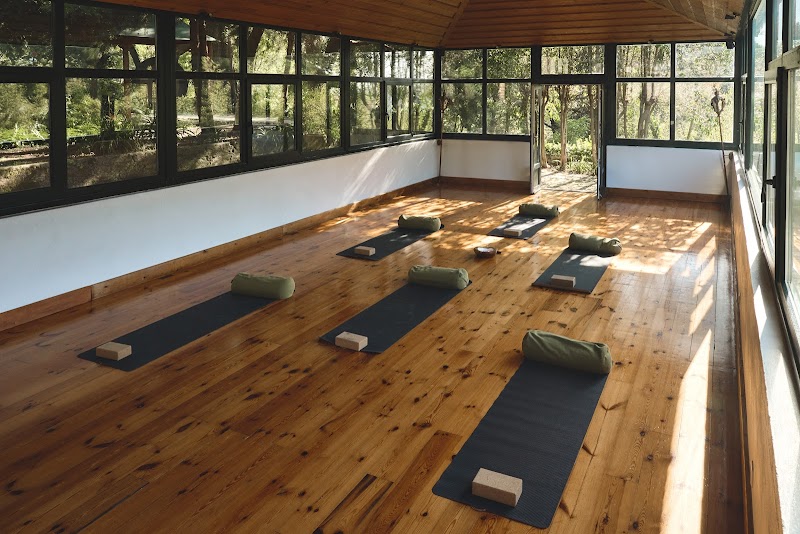 Imagen de Ananda Yoga