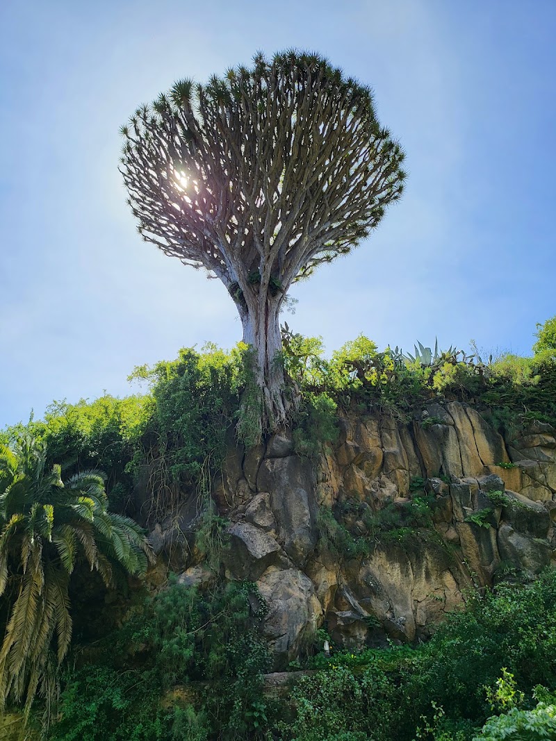 Imagen representativa de la localización