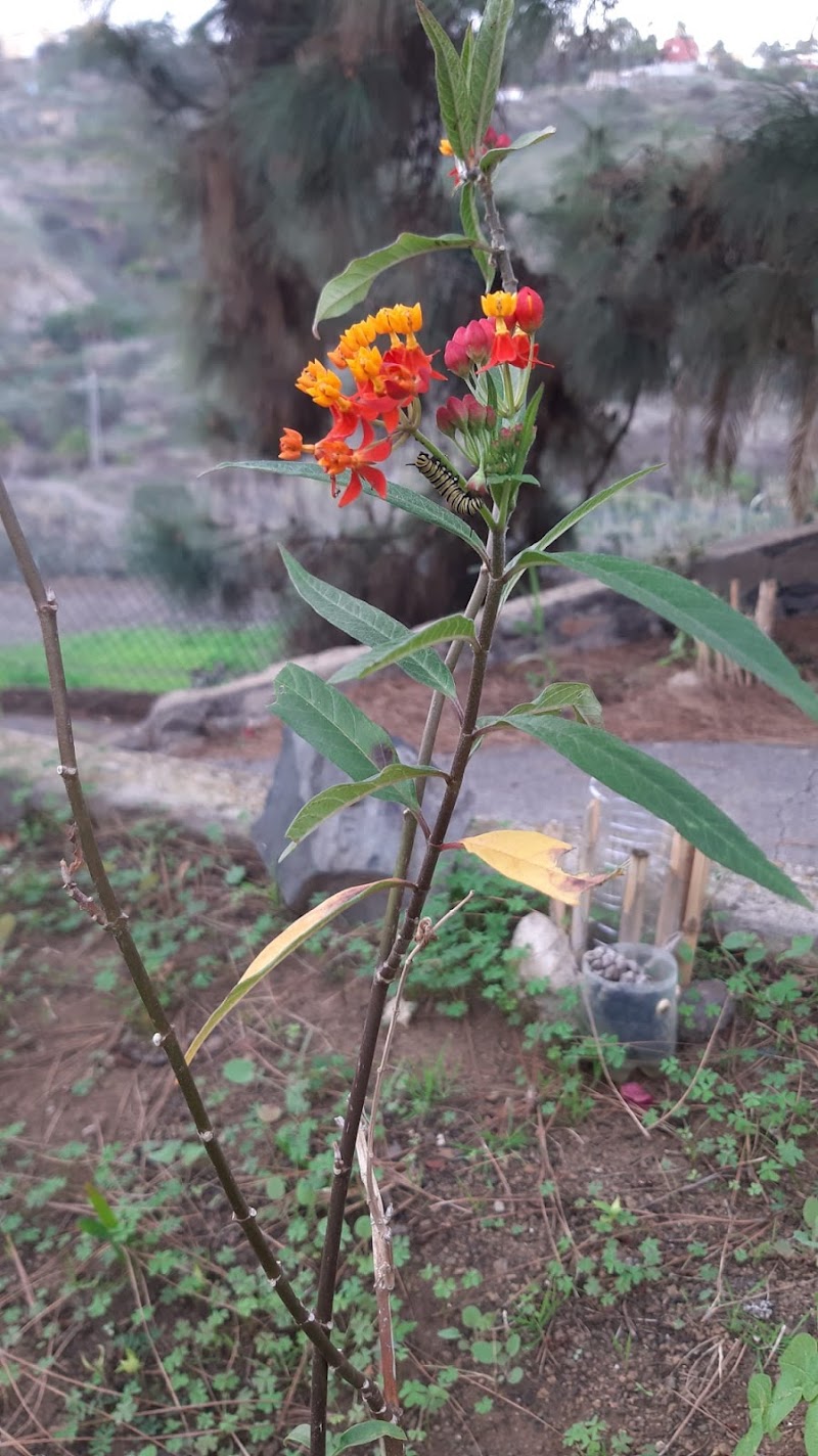 Imagen de Centro Privado de Educación Infantil Bichitos