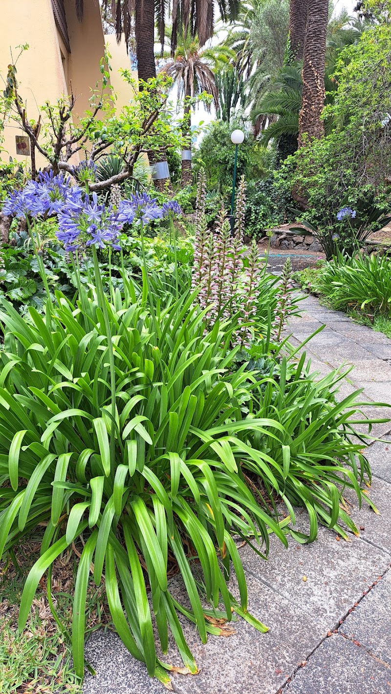 Imagen de Centro Privado de Educación Infantil Bichitos
