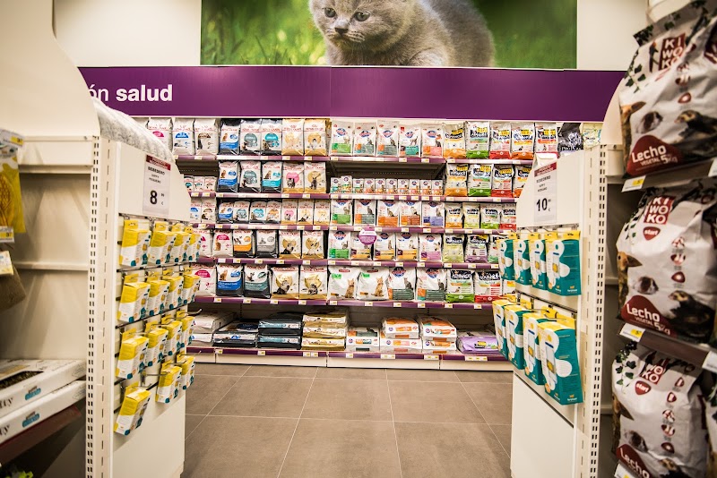 Imagen de Kiwoko. Mundo Animal