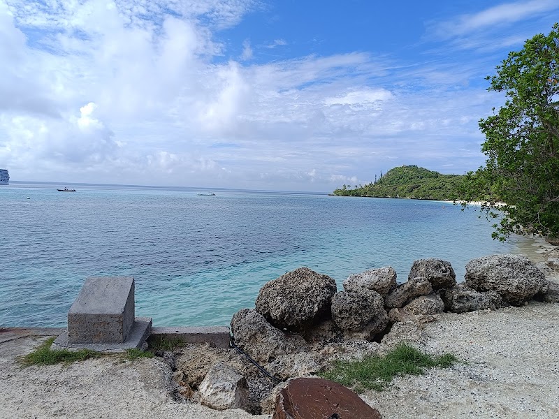 Imagen de Pisando Mundo Agencia de Viajes en Gandia España