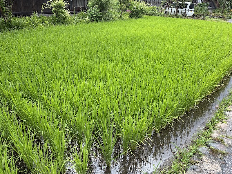 Imagen de Rc Viajes – Mucho Mas Que una Agencia de Viajes.