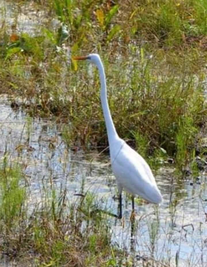 Imagen representativa de la localización