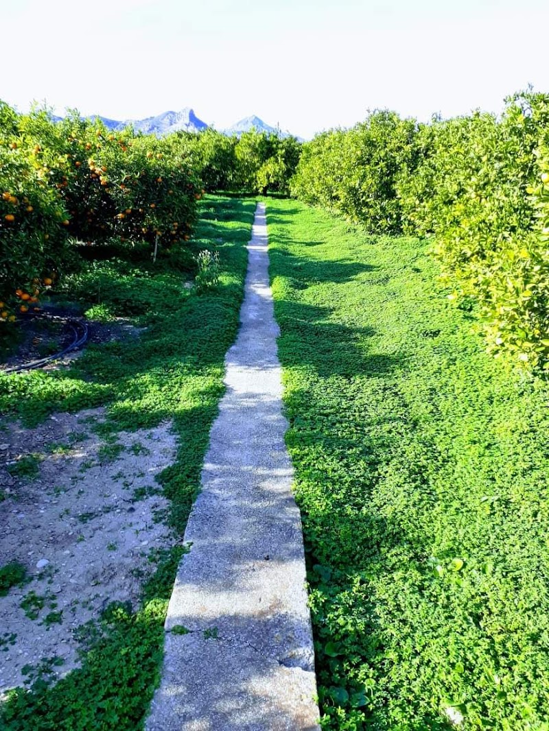 Imagen representativa de la localización