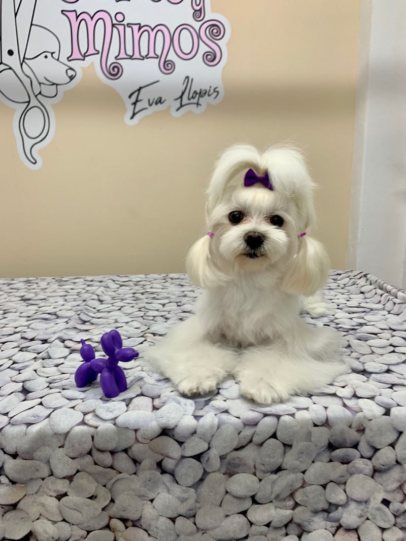 Imagen de Corte y Mimos – Peluquería Canina