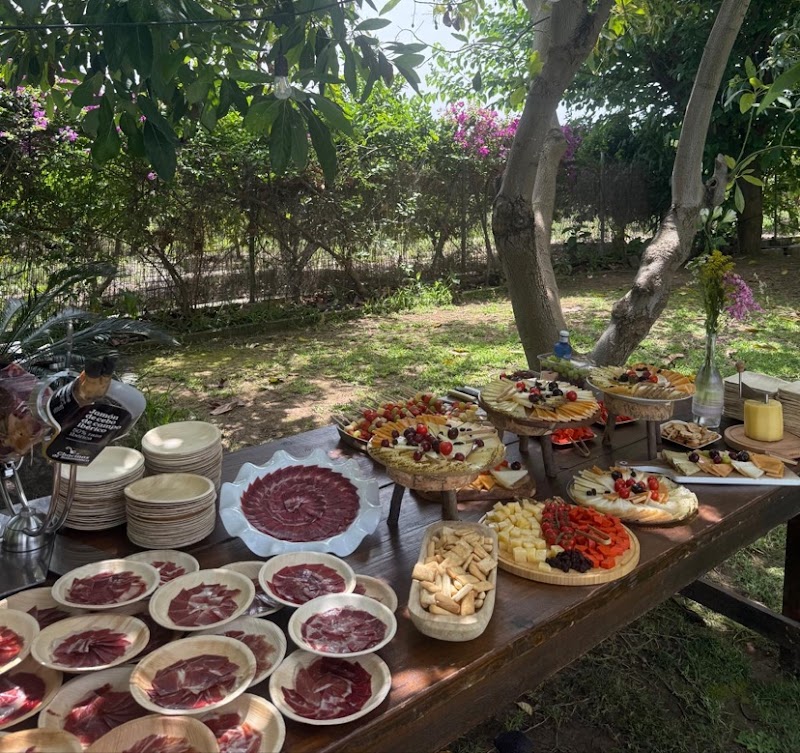 Imagen de Neus Coronado – Cortadora de Jamón