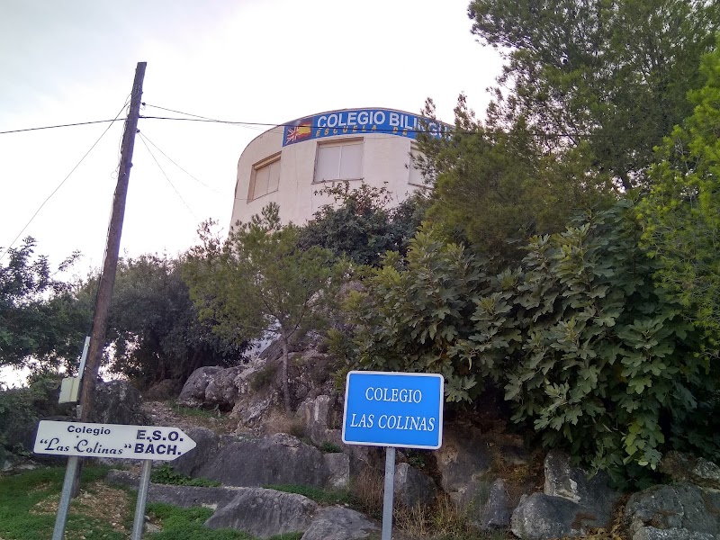 Imagen de negocio en Colegio en El Real de Gandia