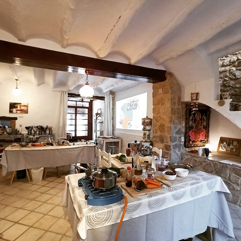 Imagen de negocio en Curso de cocina en Castellonet de la Conquesta