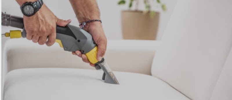 Imagen de Limpieza de Tapicerias. Salva