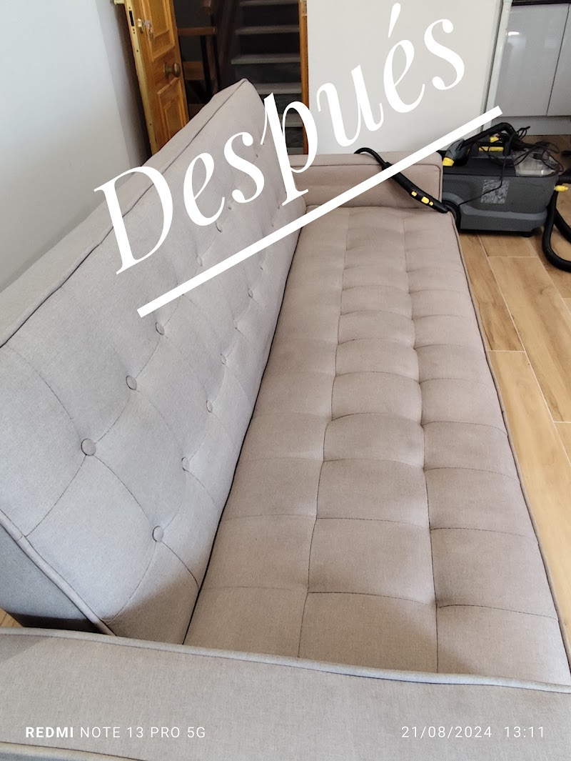 Imagen de Limpieza de Tapicerias. Salva