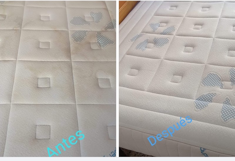 Imagen de Limpieza de Tapicerias. Salva