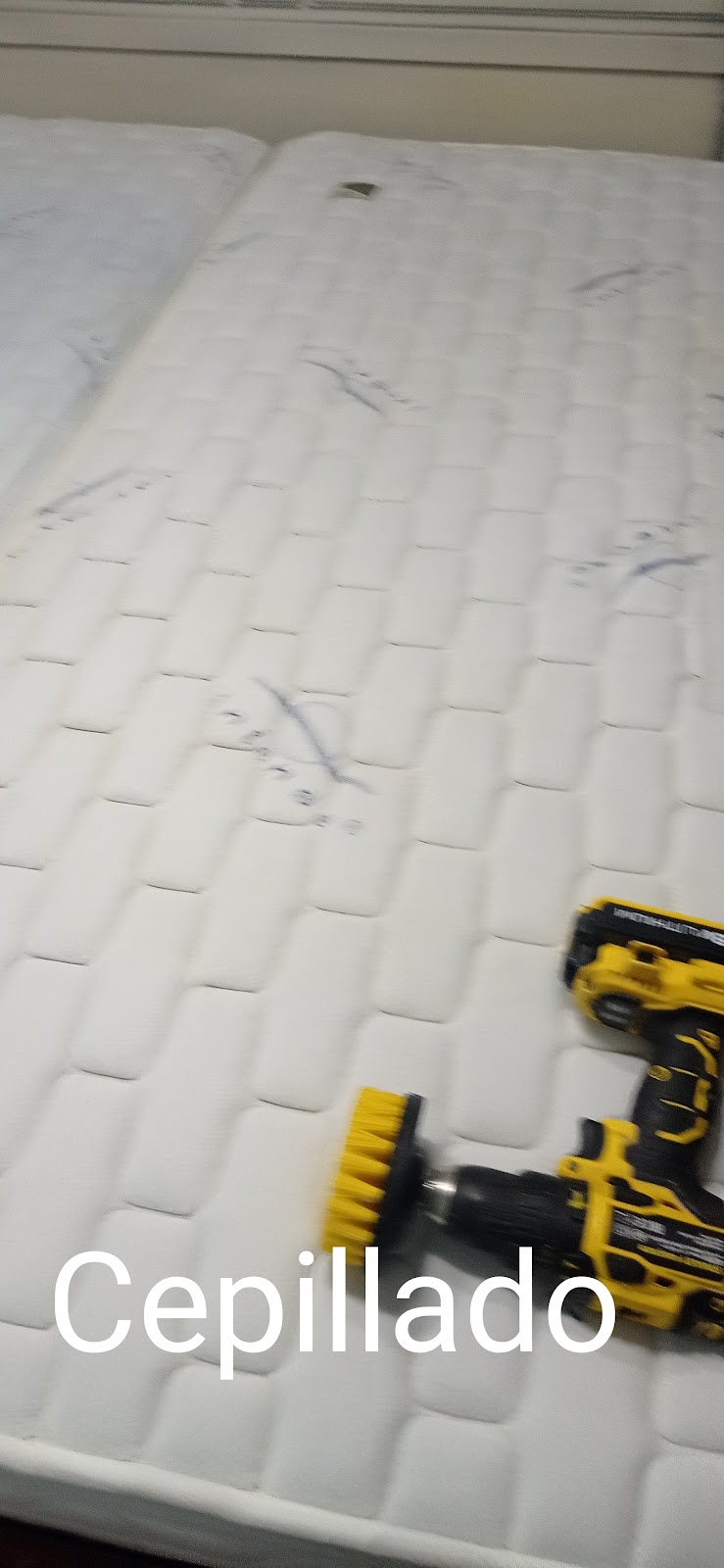 Imagen de Limpieza de Tapicerias. Salva