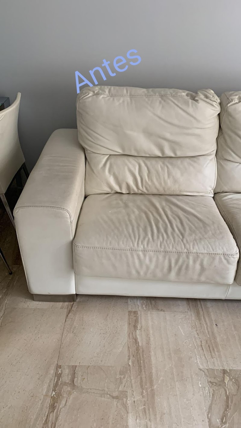 Imagen de Limpieza de Tapicerias. Salva