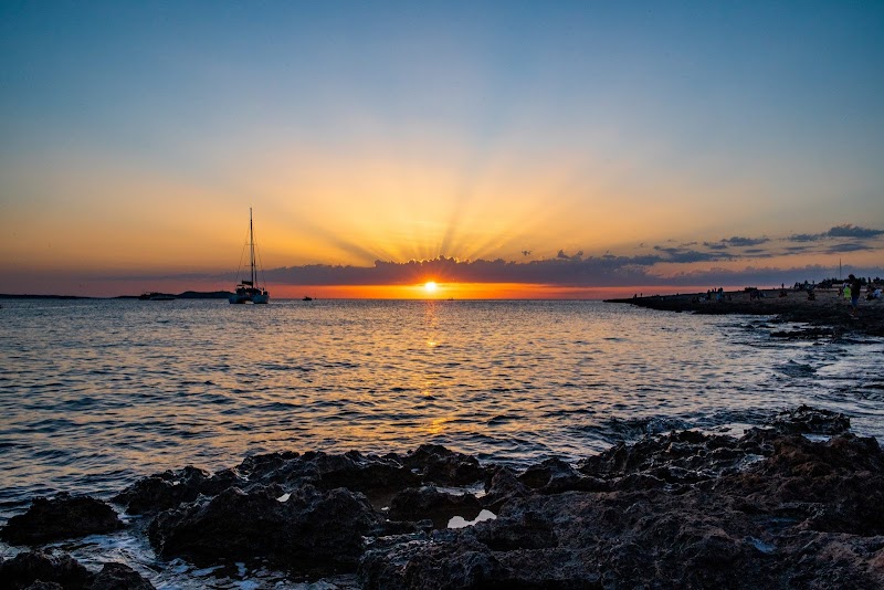 Imagen de Fotógrafo – All You Need Is Van