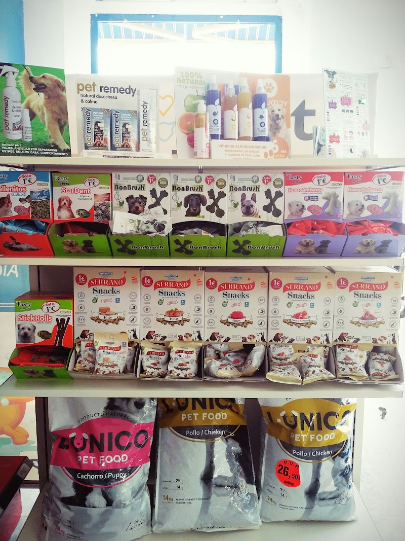 Imagen de Puppy Shower