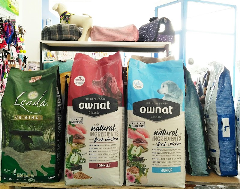 Imagen de Puppy Shower