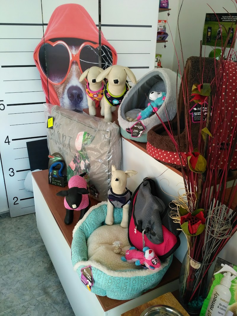 Imagen de Puppy Shower