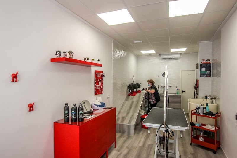 Imagen de Pèls & Go