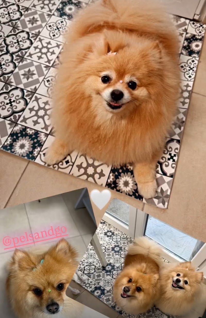 Imagen de Pèls & Go