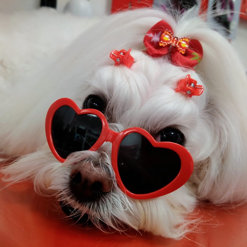 Imagen de Pèls & Go