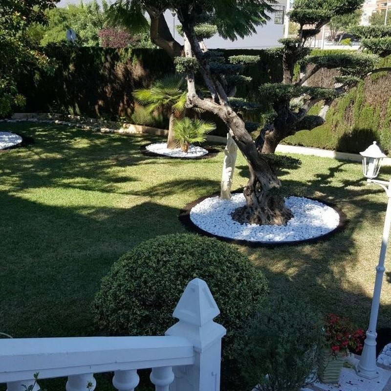 Imagen de Grun Garden