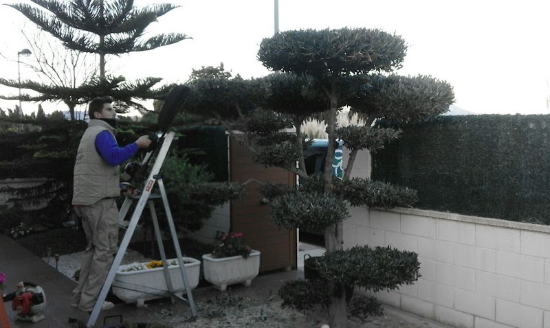 Imagen de Grun Garden