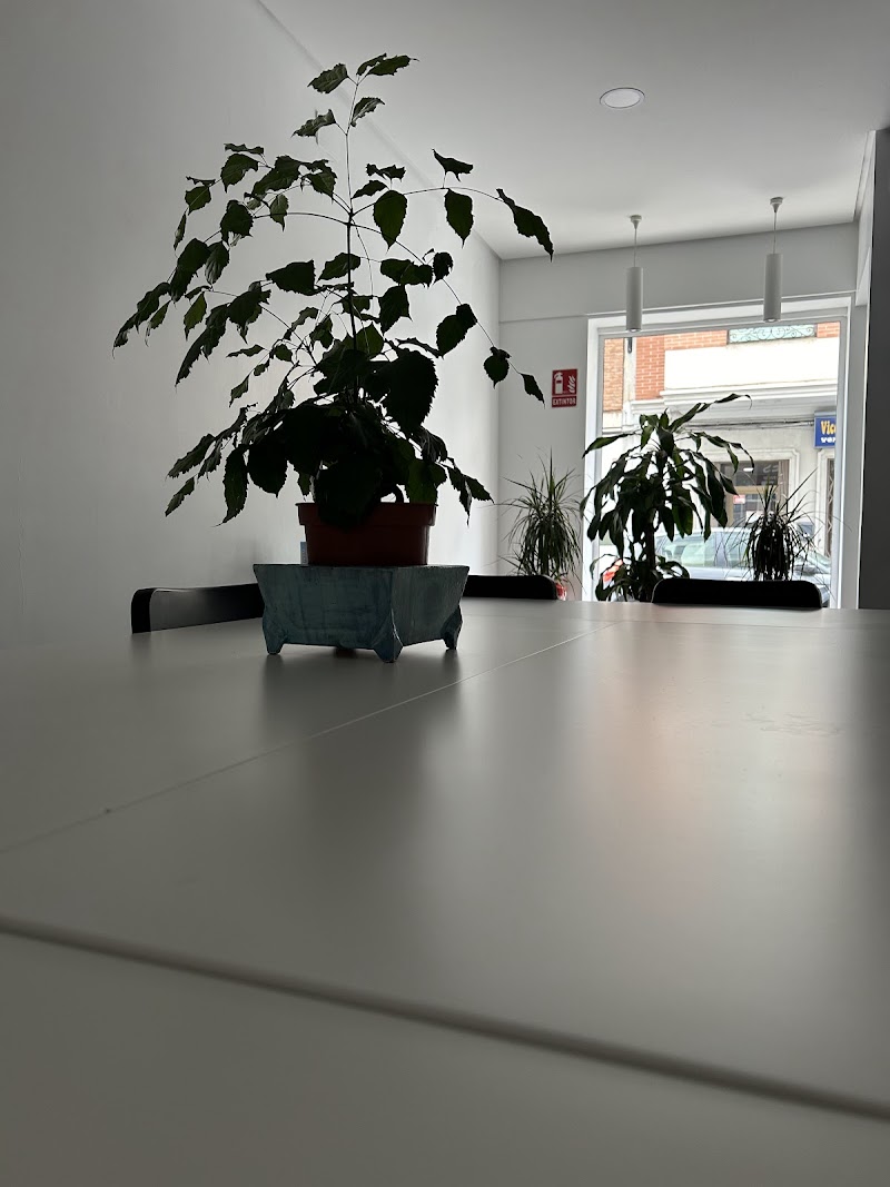 Imagen de Acadèmia Arts I Llenguatges Carcaixent