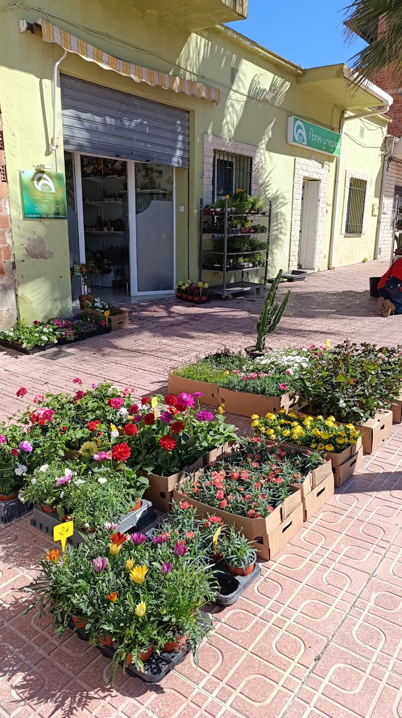Imagen de Alis Flores y Regalos