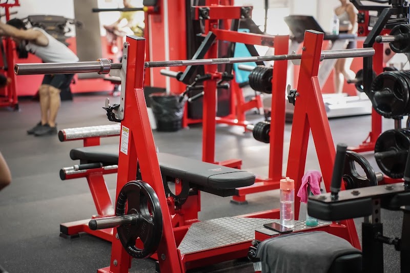Imagen de Toni Muscle
