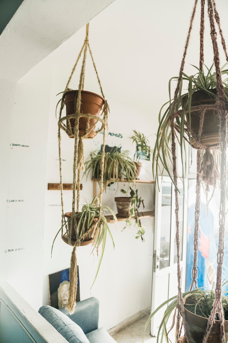 Imagen de Aguita House