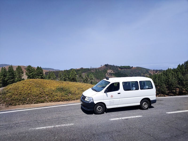 Imagen de negocio en Parada de taxi en Canarias