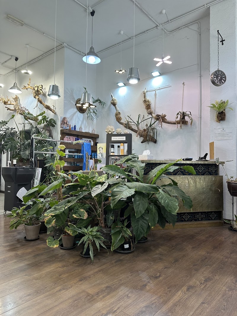 Imagen de Xerach Peluqueria