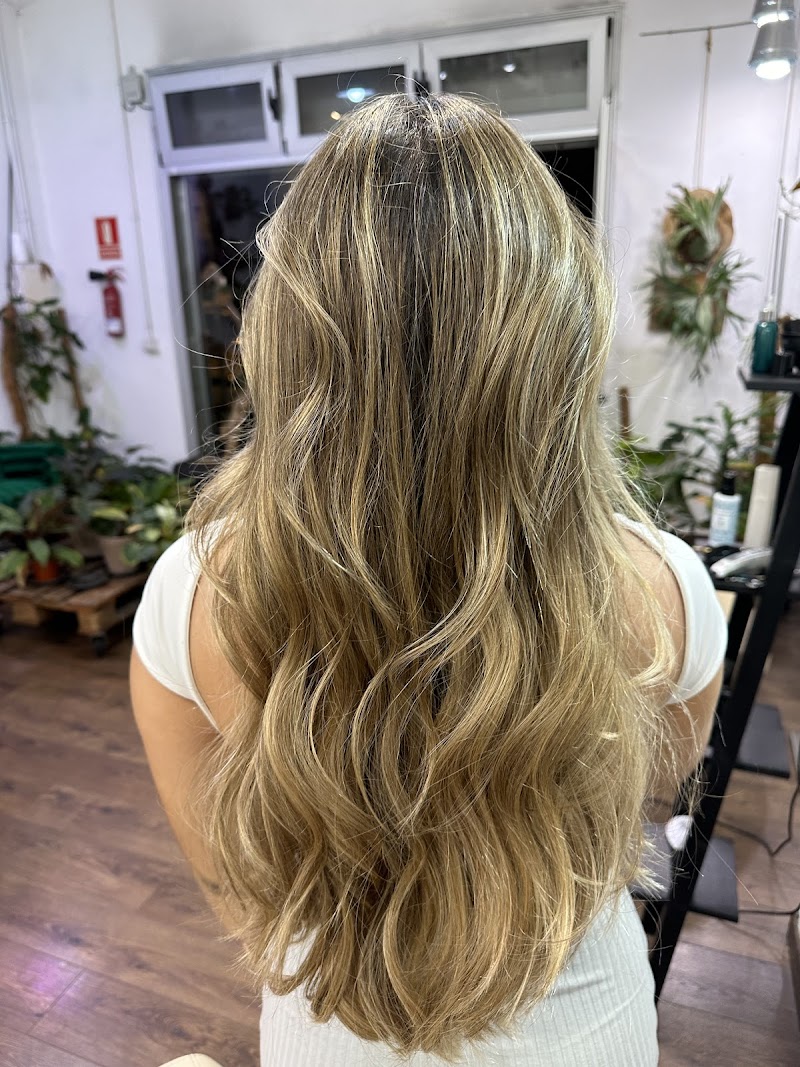 Imagen de Xerach Peluqueria