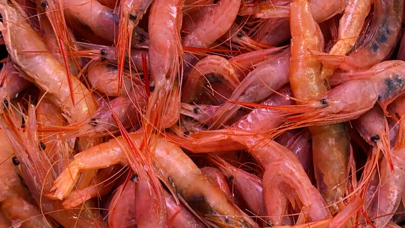 Imagen de negocio en Pescadería en Provincia de Las Palmas