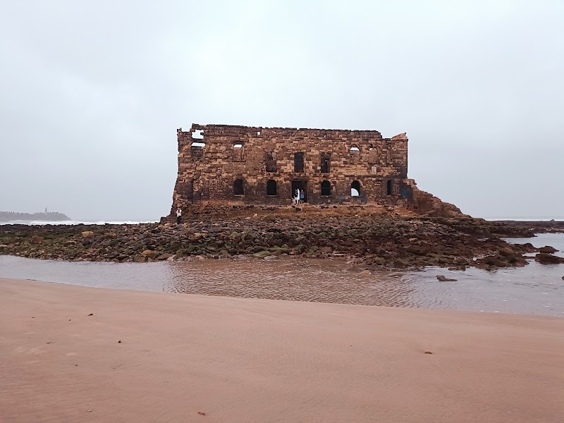 Imagen de negocio en Turismo en Las Palmas de Gran Canaria