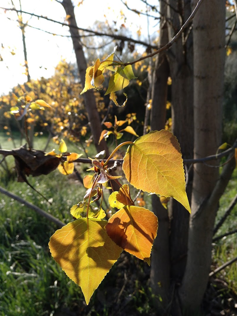 Imagen representativa de la localización