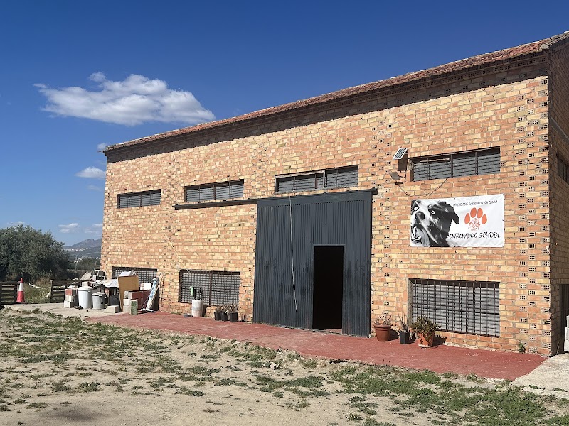 Imagen de negocio en Educación y Comportamiento en Churriana de la Vega