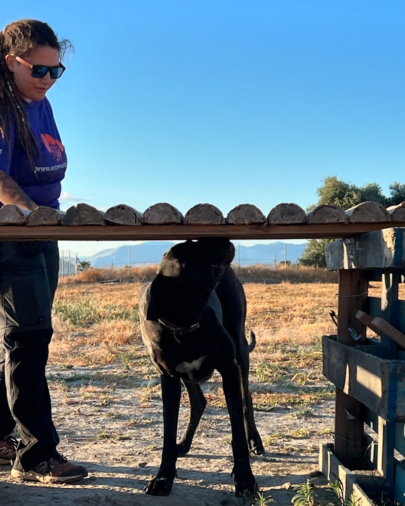 Imagen de negocio en Mascotas y animales en Churriana de la Vega