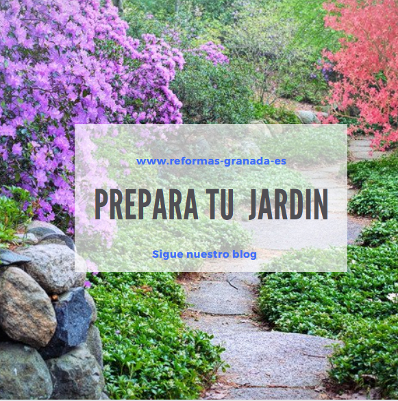 Imagen de Reformas Granada