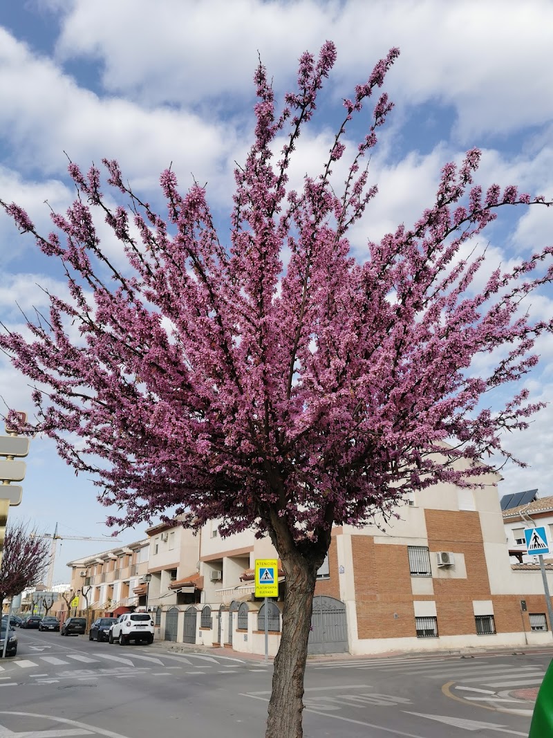 Imagen representativa de la localización