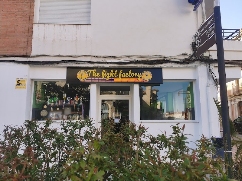Imagen de The Fight Factory Muay Thai Granada