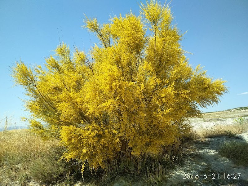 Imagen representativa de la localización