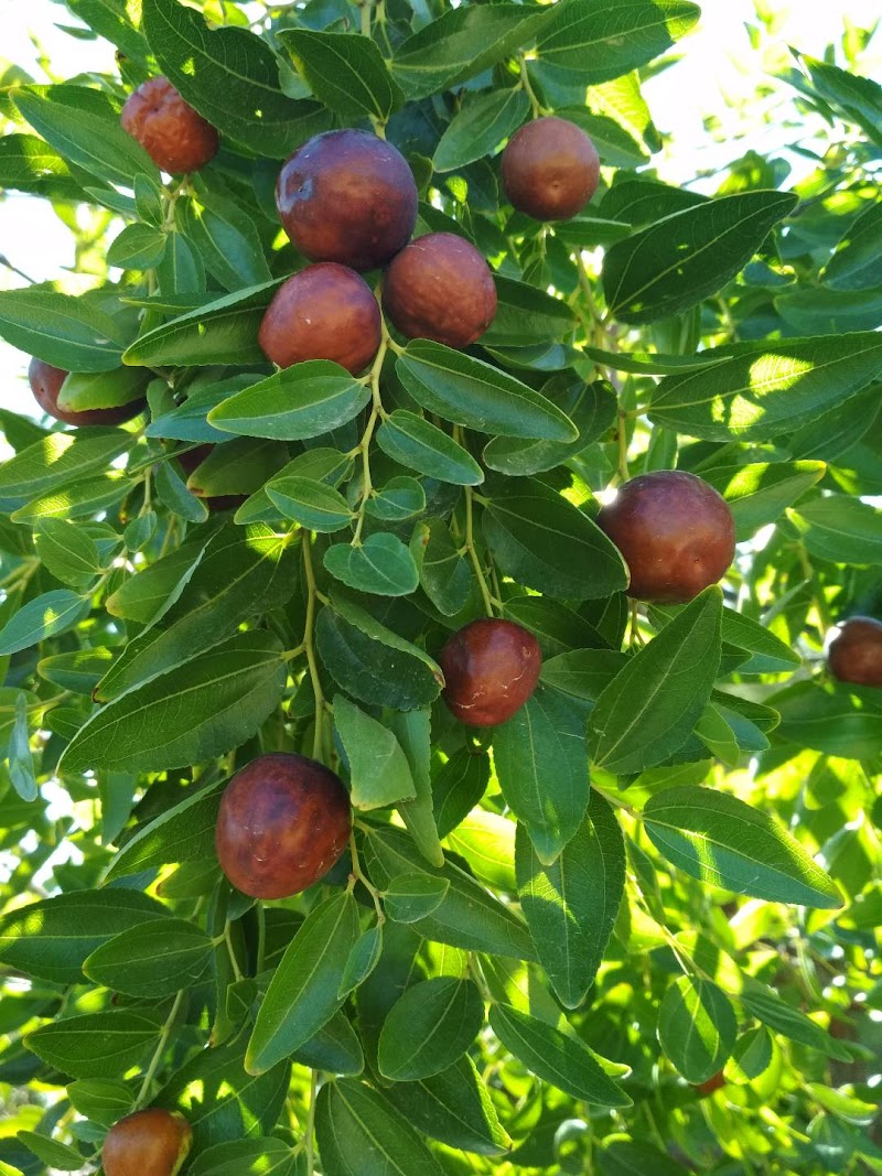 Imagen representativa de la localización